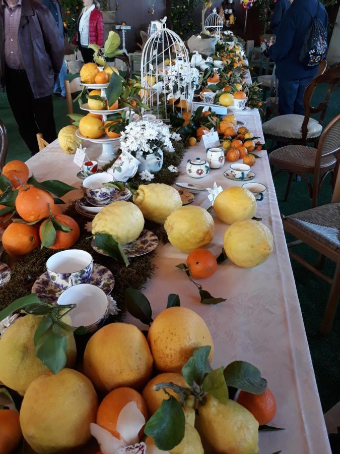 Appartamento Alpini Cannero Riviera Luaran gambar